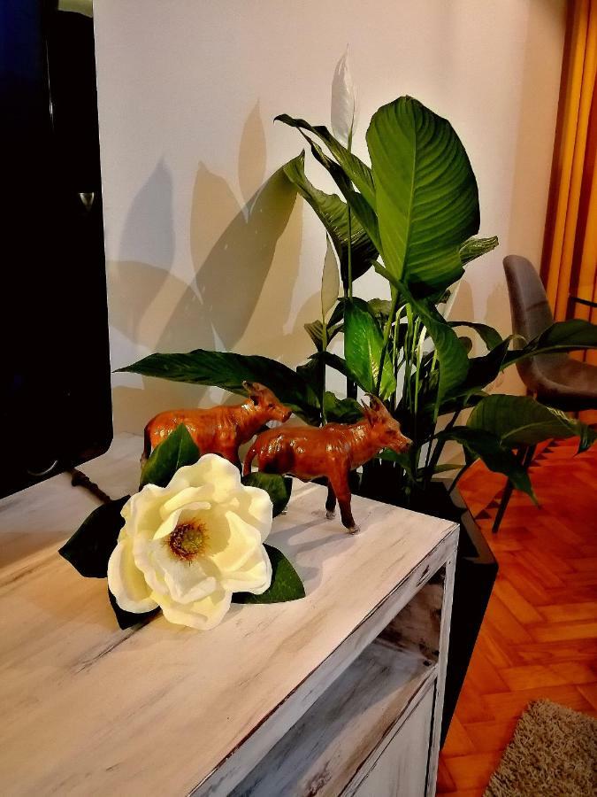 The Sunset Lisbon Flat Apartment ภายนอก รูปภาพ